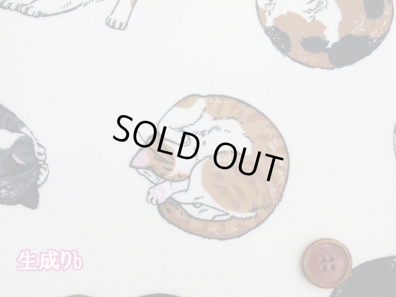 画像2: まんまるねこ 三毛猫・茶トラ・猫柄 オックス生地 ラミネート つや消し コスモテキスタイル (2)