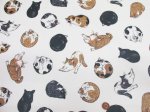 画像3: まんまるねこ 三毛猫・茶トラ・猫柄 オックス生地 ラミネート つや消し コスモテキスタイル (3)