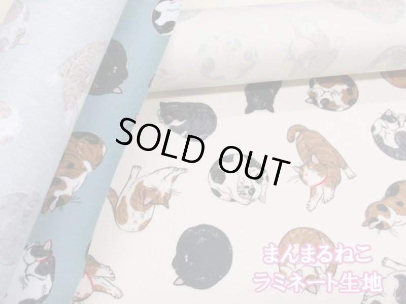 画像1: まんまるねこ 三毛猫・茶トラ・猫柄 オックス生地 ラミネート つや消し コスモテキスタイル (1)