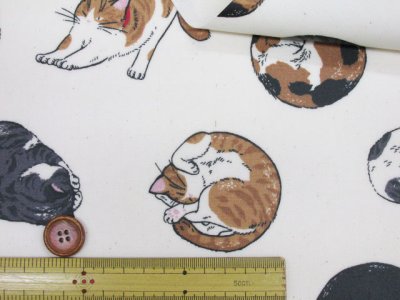 画像1: まんまるねこ 三毛猫・茶トラ・猫柄 オックス生地 ラミネート つや消し コスモテキスタイル