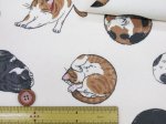 画像4: まんまるねこ 三毛猫・茶トラ・猫柄 オックス生地 ラミネート つや消し コスモテキスタイル (4)