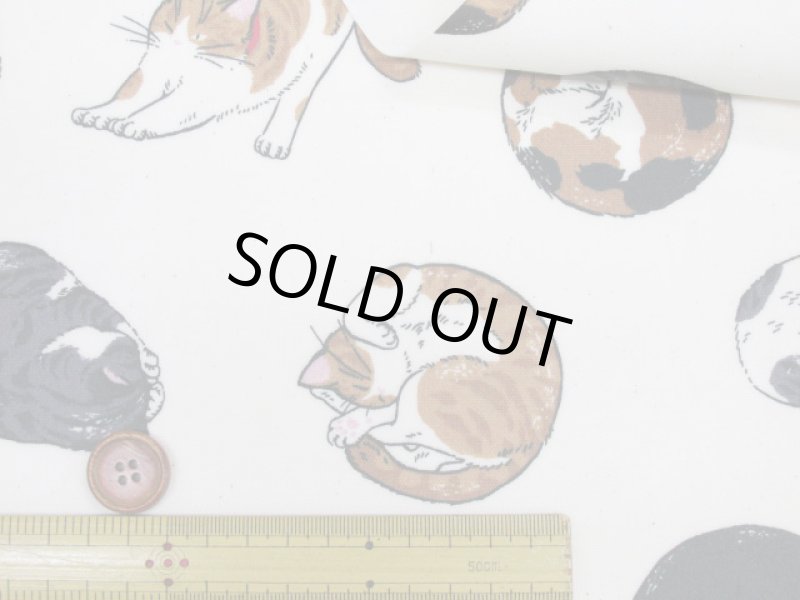 画像4: まんまるねこ 三毛猫・茶トラ・猫柄 オックス生地 ラミネート つや消し コスモテキスタイル (4)