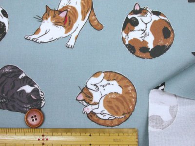 画像2: まんまるねこ 三毛猫・茶トラ・猫柄 オックス生地 ラミネート つや消し コスモテキスタイル