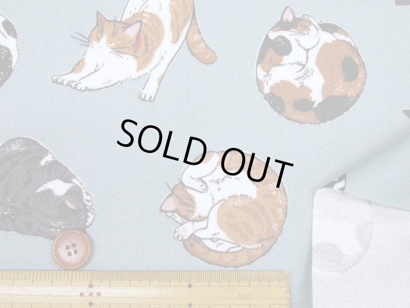 画像7: まんまるねこ 三毛猫・茶トラ・猫柄 オックス生地 ラミネート つや消し コスモテキスタイル (7)
