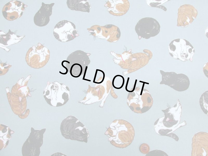 画像6: まんまるねこ 三毛猫・茶トラ・猫柄 オックス生地 ラミネート つや消し コスモテキスタイル (6)