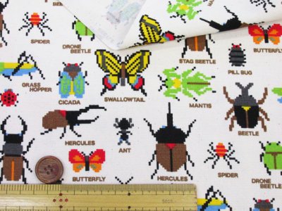 画像1: ドット絵 昆虫図鑑 カブトムシ・クワガタ・カマキリ・昆虫柄 オックス生地