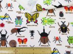 画像4: ドット絵 昆虫図鑑 カブトムシ・クワガタ・カマキリ・昆虫柄 オックス生地 (4)