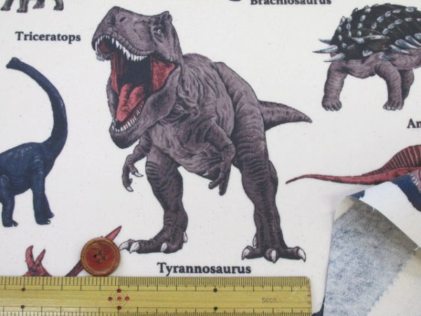 恐竜図鑑 ダイナソー・恐竜柄 オックス生地 ラミネート つや消し