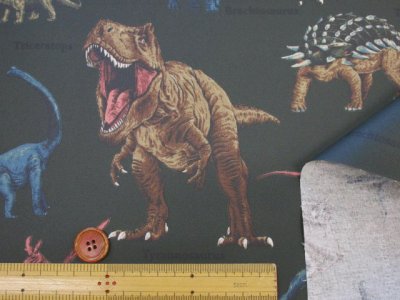 画像2: 恐竜図鑑　ダイナソー・恐竜柄　オックス生地　ラミネート　つや消し