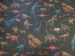 画像6: 恐竜図鑑　ダイナソー・恐竜柄　オックス生地　ラミネート　つや消し (6)