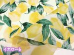 画像5: 撥水加工 シンプルレモン れもん柄　ナイロンオックス生地 (5)