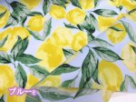 画像7: 撥水加工 シンプルレモン れもん柄　ナイロンオックス生地 (7)