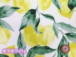 画像2: 撥水加工 シンプルレモン れもん柄　ナイロンオックス生地 (2)