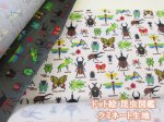 画像1: ドット絵 昆虫図鑑 カブトムシ・クワガタ・カマキリ・昆虫柄 オックス生地 ラミネート　つや消し (1)