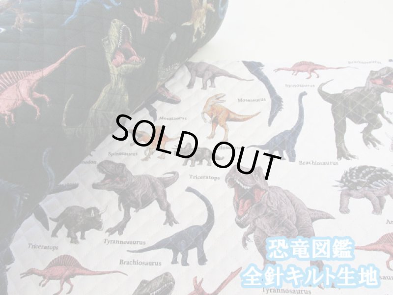 画像1: 恐竜図鑑　ダイナソー・恐竜柄　オックス生地 全針キルト (1)