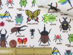 画像4: ドット絵 昆虫図鑑 カブトムシ・クワガタ・カマキリ・昆虫柄 オックス生地 ラミネート　つや消し (4)