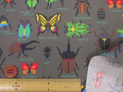 画像2: ドット絵 昆虫図鑑 カブトムシ・クワガタ・カマキリ・昆虫柄 オックス生地 ラミネート　つや消し