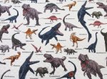 画像3: 恐竜図鑑　ダイナソー・恐竜柄　オックス生地 全針キルト (3)