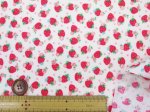 画像4: YUWA　有輪商店　松山敦子さん　キュートベリー　イチゴ・苺柄　シャーティング生地 ラミネート つや消し (4)