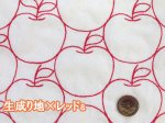 画像3: 毎年完売の人気生地!!　刺繍幅約96cm　アップル・りんご・林檎・リンゴ柄　シーチング生地 (3)
