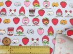 画像10: イチゴネコ　苺・ネコ・猫柄　綿キャンバス生地 ラミネート つや消し コットンこばやし (10)