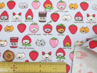 画像3: イチゴネコ 苺・ネコ・猫柄 綿キャンバス生地 ラミネート つや消し コットンこばやし