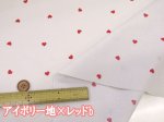 画像5: ALTO ALBERO COLLECTION プチハート　ハート柄　スケア生地 (5)