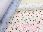画像1: かわいい チューリップ フラワー・花柄　オックス生地 ラミネート つや消し　コスモテキスタイル (1)