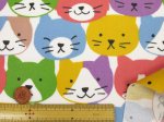 画像4: キャットフェイス　ネコ・ねこ・猫柄　オックス生地 (カラフル)　ラミネート　つや消し (4)