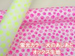 画像1: 蛍光カラー　犬のあしあと　肉球柄　オックス生地 (1)