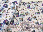 画像1: スヌーピー SNスクールズアウト PEANUTS　オックス生地 (1)