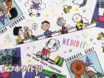 画像5: スヌーピー SNスクールズアウト PEANUTS　オックス生地 (5)
