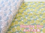 画像1: Ｂｌｏｏｍｉｎｇ　Ｄａｙ　フラワー・花柄　オックス生地 (1)