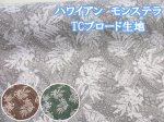 画像1: ハワイアン　モンステラ　ホヌ柄　TCブロード生地 (1)
