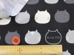 画像10: ねこたま ビッグシルエット　ネコ・ねこ・猫柄　オックス生地　コスモテキスタイル (10)