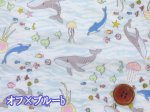 画像2: 海の生き物　クジラ・イルカ・クラゲ柄　ダブルガーゼ生地  (2)