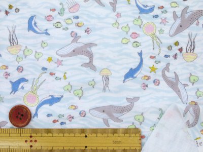 画像1: 海の生き物　クジラ・イルカ・クラゲ柄　ダブルガーゼ生地 