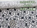 画像1: 北欧調　カメリア　フラワー・花柄　綿麻キャンバス生地　ラミネート　つや消し　コットンこばやし (1)