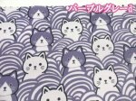 画像7: 猫と青海波　ネコ・ねこ・猫柄　オックス生地 ラミネート つや消し (7)