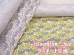 画像1: Ｂｌｏｏｍｉｎｇ　Ｄａｙ　フラワー・花柄　オックス生地 ラミネート つや消し (1)