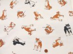 画像3: 柴犬の日常　柴犬・わんこ・犬柄　オックス生地　コスモテキスタイル (3)