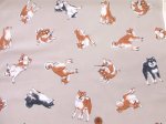 画像6: 柴犬の日常　柴犬・わんこ・犬柄　オックス生地　コスモテキスタイル (6)