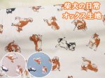 画像1: 柴犬の日常　柴犬・わんこ・犬柄　オックス生地　コスモテキスタイル (1)