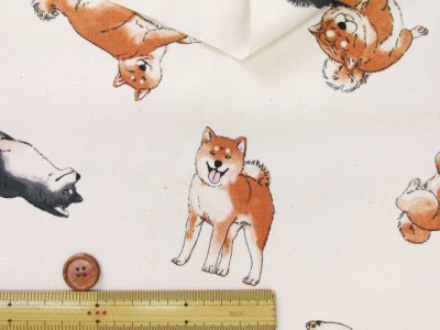 画像1: 柴犬の日常 柴犬・わんこ・犬柄 オックス生地 コスモテキスタイル