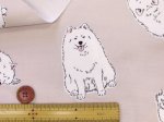 画像7: 可愛い サモエド　わんこ・犬柄　オックス生地　コスモテキスタイル (7)