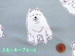 画像8: 可愛い サモエド　わんこ・犬柄　オックス生地　コスモテキスタイル (8)