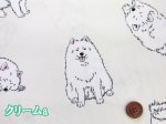 画像2: 可愛い サモエド　わんこ・犬柄　オックス生地　コスモテキスタイル (2)