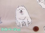 画像5: 可愛い サモエド　わんこ・犬柄　オックス生地　コスモテキスタイル (5)