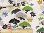画像4: 和柄　のぼり松　松柄　スケア生地　セブンベリー (4)
