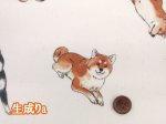 画像2: 柴犬の日常　柴犬・わんこ・犬柄　オックス生地 ラミネート つや消し コスモテキスタイル (2)